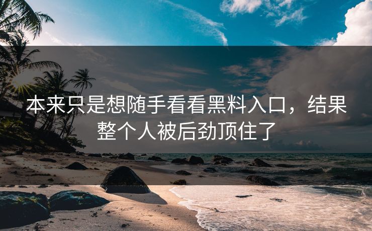 本来只是想随手看看黑料入口，结果整个人被后劲顶住了